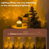 The Aurora Light